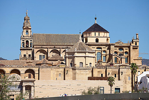 清真寺,大教堂,科多巴,安达卢西亚,西班牙,欧洲