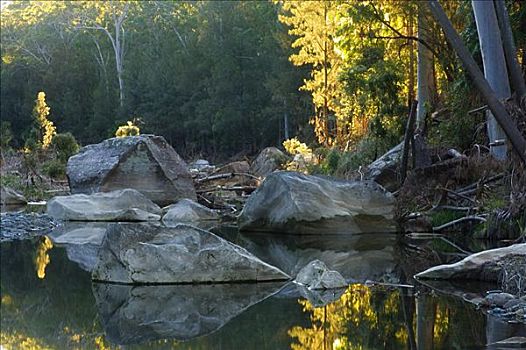 溪流,峡谷,国家公园,昆士兰,澳大利亚