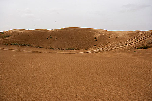 内蒙库尔其沙漠