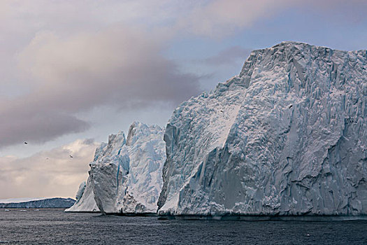 冰山,伊路利萨特冰湾,迪斯科湾,格陵兰