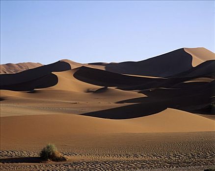 沙丘,索苏维来地区,纳米比亚