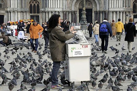 销售,鸽子,食物,威尼斯,威尼托,意大利,欧洲