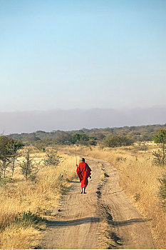 马萨伊,男人,途中,坦桑尼亚