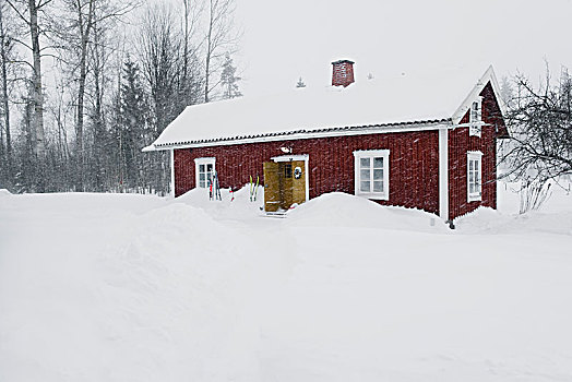 屋舍,积雪,风景