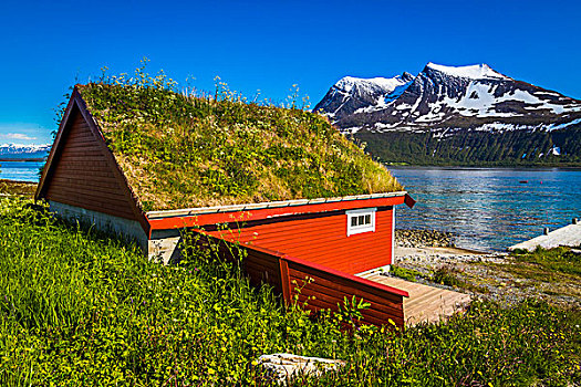 小屋,草,屋顶,岛屿,特罗姆瑟,挪威