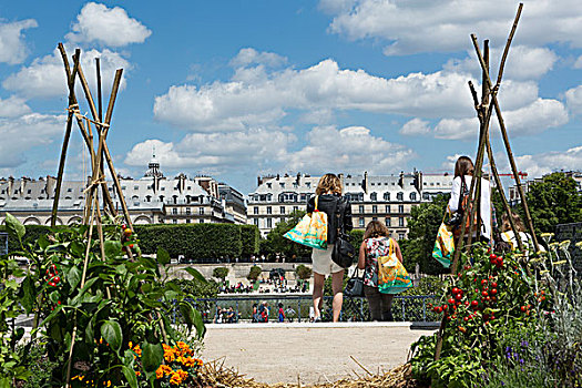 法国,法兰西岛,巴黎,花园,节日,设计师,园丁,职业,食用,菜园,灵感,设计