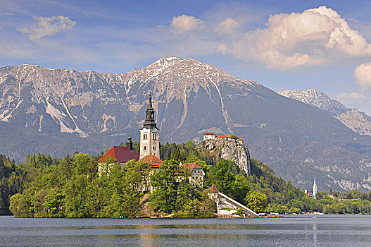 布莱德湖,教堂,区域,斯洛文尼亚