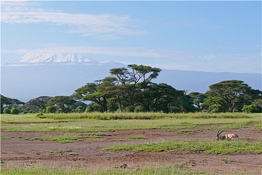 乞力马扎罗山,肯尼亚