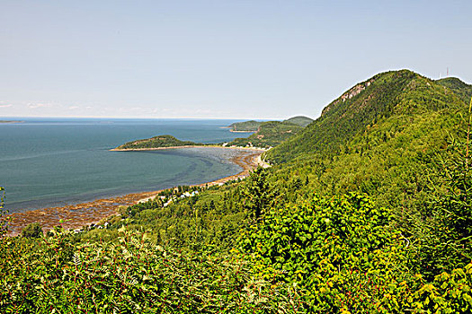 海岸线,劳伦斯河,加斯佩半岛,魁北克,加拿大
