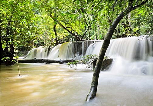 瀑布,河流,热带雨林,泰国