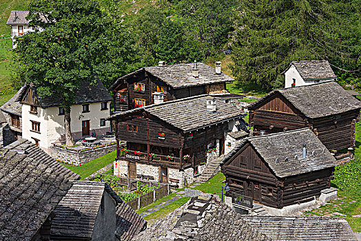 博物馆,山村,住宅区,提契诺河,瑞士