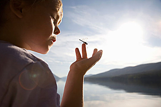 蜻蜓,女孩,手,湖,山,背景