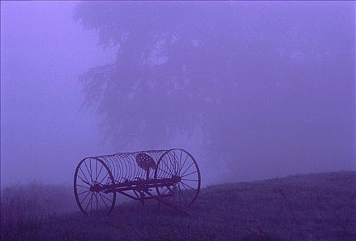 农具,雾,佛蒙特州,美国