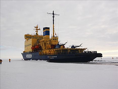 船长,破冰船,海洋,冰,南极