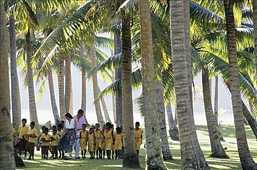 斐济,瓦卡亚岛,瓦卡亚,学童,教师,走,小树林,棕榈树