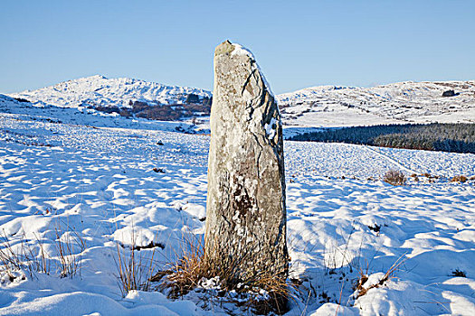 站立,石头,冬天,凯瑞郡,爱尔兰
