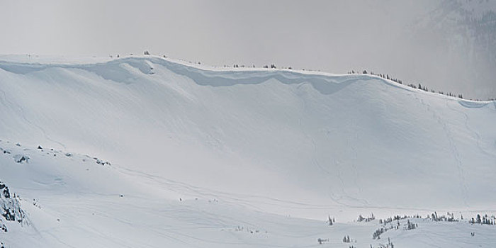 积雪,山,惠斯勒,不列颠哥伦比亚省,加拿大