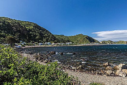 新西兰惠灵顿海湾