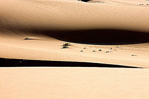 沙丘,靠近,湾,沙漠,纳米比亚