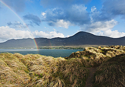 彩虹,爱尔兰,风景,远眺,梅奥县