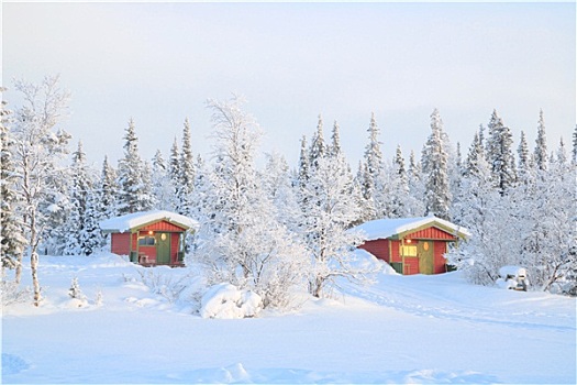 日出,冬天,风景,瑞典