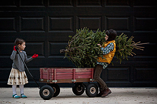 女孩,男孩,装载,手推车,圣诞树