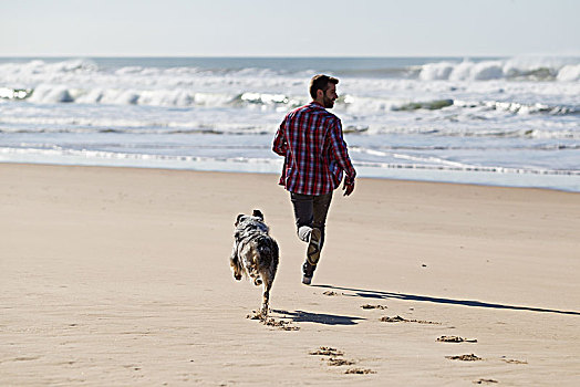 男人,跑,狗,海滩
