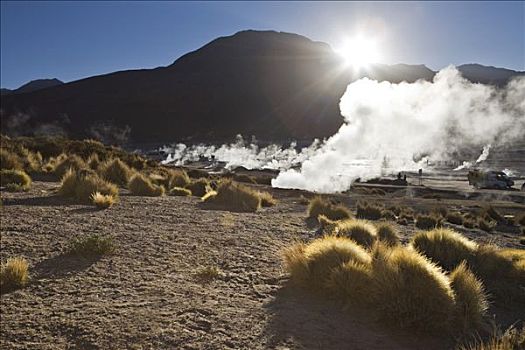 温泉,蒸汽,日出,安托法加斯塔,智利,南美