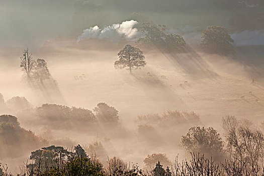 模糊,秋天,早晨,格洛斯特郡,英国