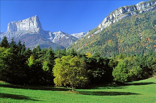 法国,树,山谷,顶峰,右边