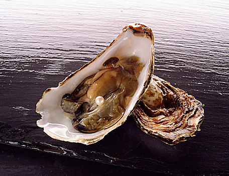 牡蛎,珍珠,奢华