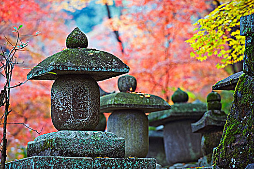 亚洲,日本,京都,庙宇,石灯笼,红色,秋叶