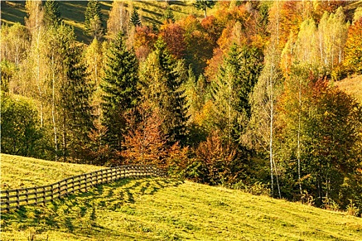 乡村,风景,罗马尼亚