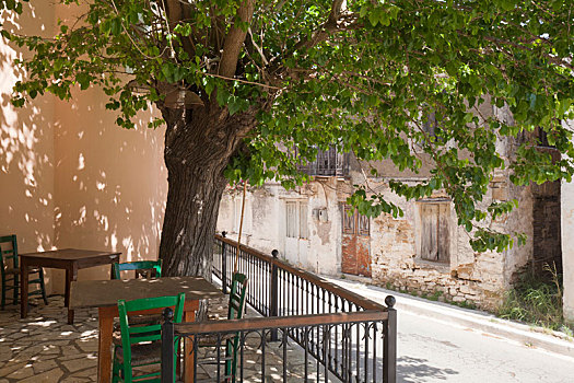 落叶树,平台,酒馆,希腊