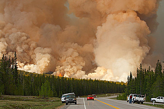 道路,全体人员,争斗,森林火灾,燃烧,公路,艾伯塔省,加拿大