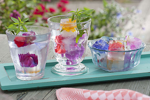 冰块,冰冻,食用花卉,玻璃杯