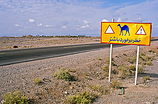 路标,荒芜,道路,警告,骆驼,亚兹德,伊朗,西亚