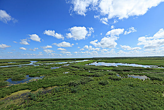 雁窝岛湿地