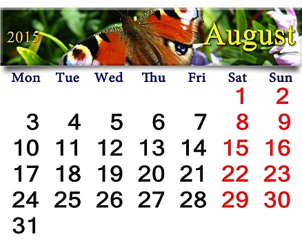 日程,八月,蝴蝶,孔雀