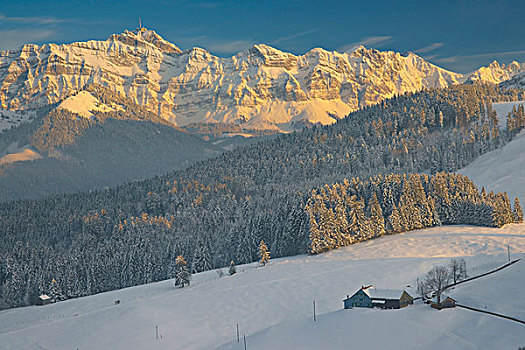 冬天,风景,阿彭策尔,区域,照亮,山,背影,瑞士,欧洲