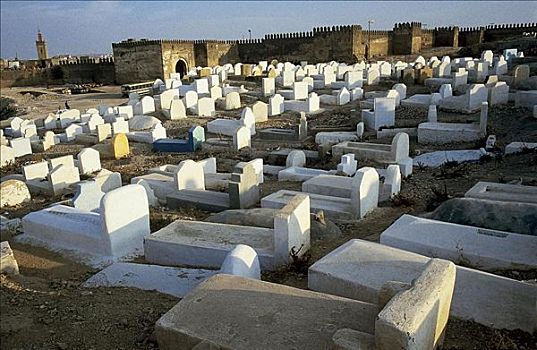 墓地,墓穴,墓碑,摩洛哥,北非