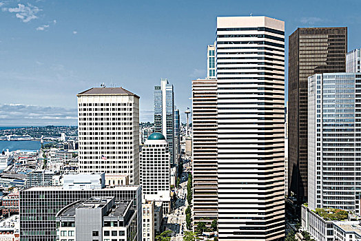 西雅图,市区,风景,塔