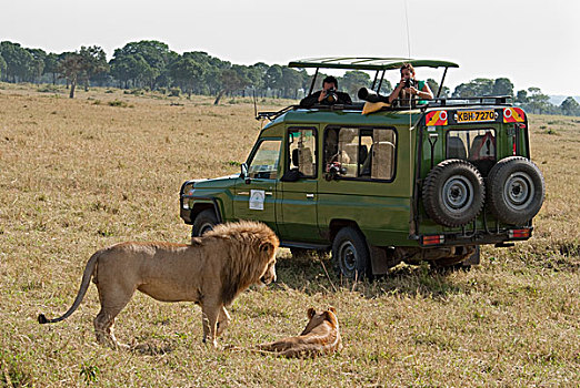 肯尼亚,水,生活,马拉河,探险,马赛马拉国家保护区,三角形,野生动物