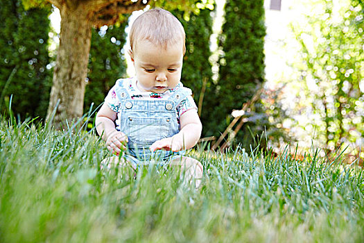女婴,坐,草,花园