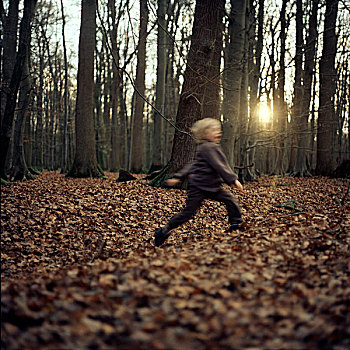 小男孩,跑,树林