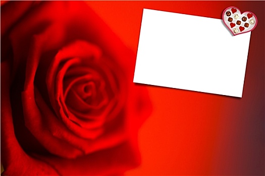 合成效果,图像,模糊,红玫瑰