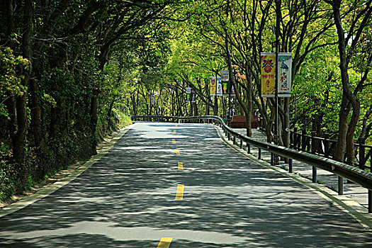 舟山市普陀山道路