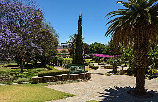 纳米比亚,温得和克,著名,议会,花园,植物,绿色,喷泉