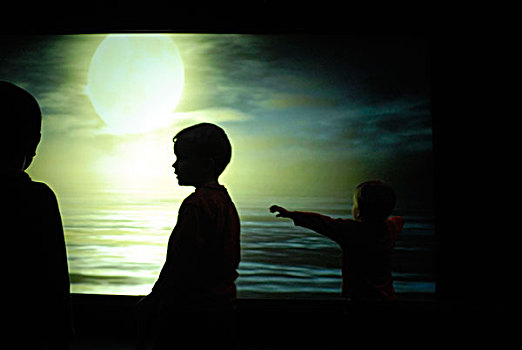 剪影,男孩,一个,图像,日落,自然历史博物馆,纽约,美国,2007年