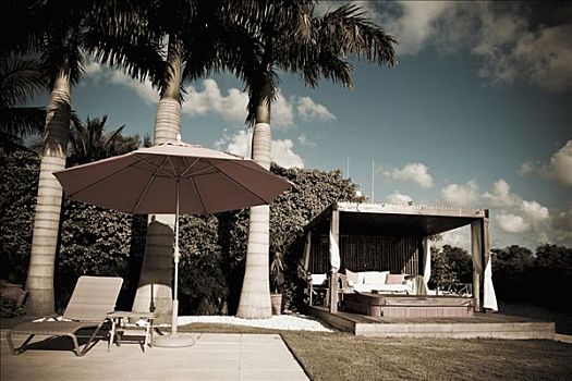 休闲椅,遮阳伞,正面,棕榈树